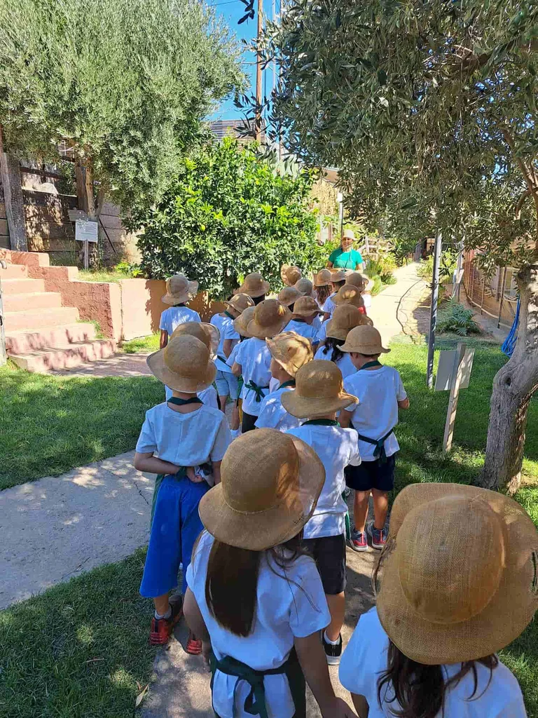 Εθνικές ευκαιρίες