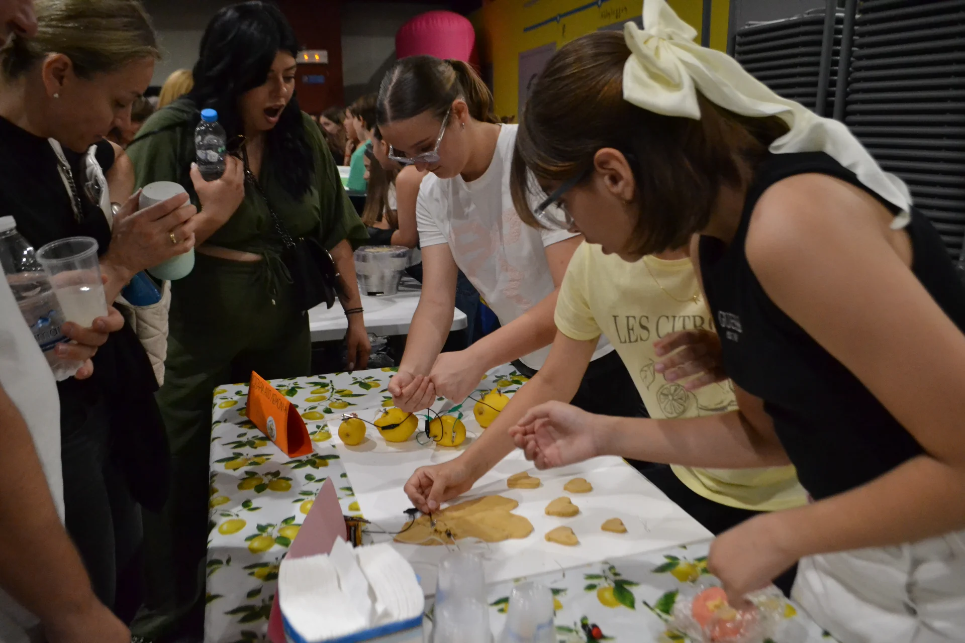 Θερινό σχολείο 5