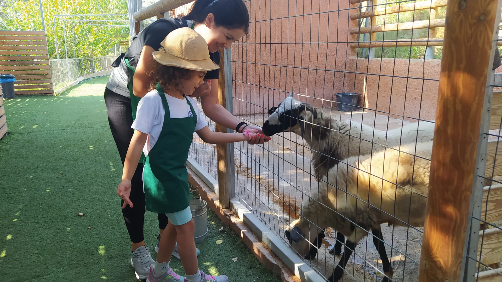 Θερινό σχολείο 4
