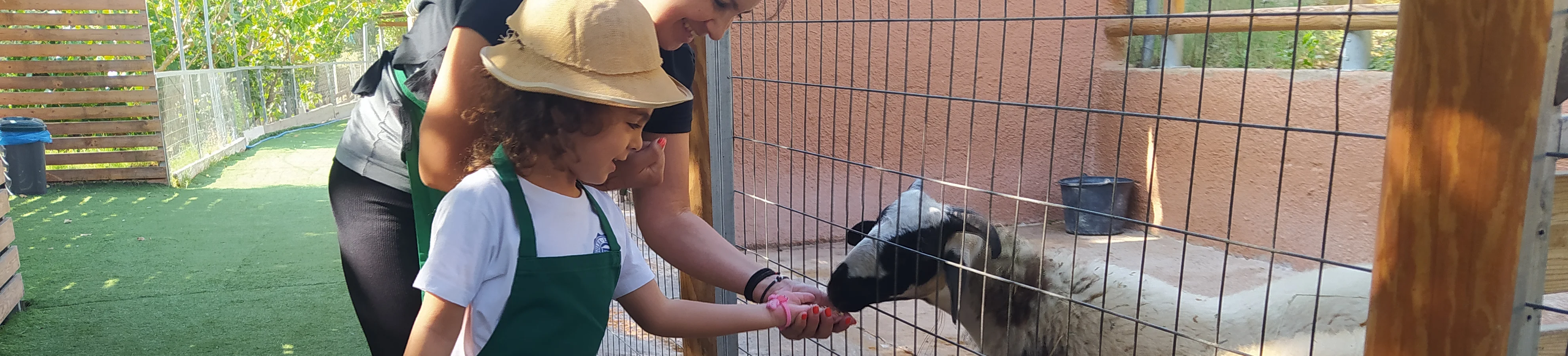 Υπηρεσίες σχολικών μεταφορών