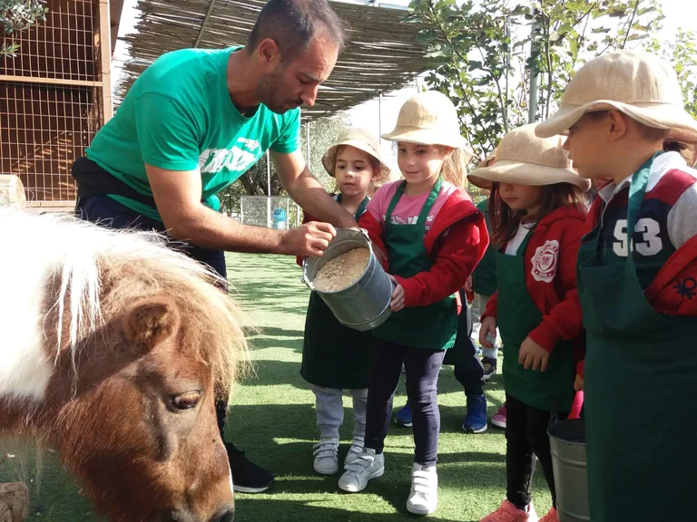 Εθνικές ευκαιρίες